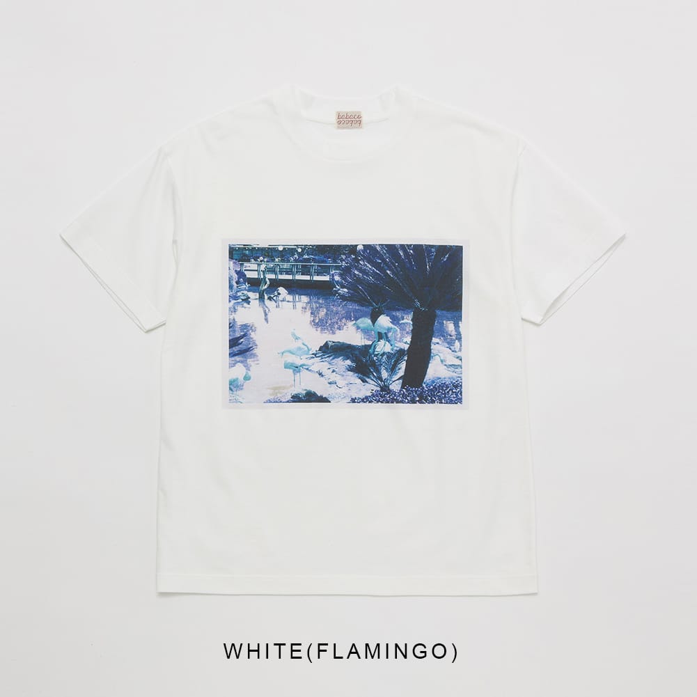 babaco ババコ Organic Cotton T-shirt W/print オーガニック コットン 