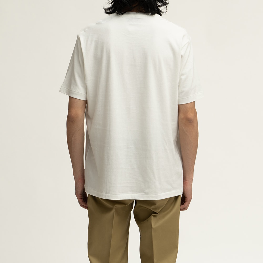 アナトミカ オーガニックTEE Tシャツ 半袖 無地 カットソー ANATOMICA