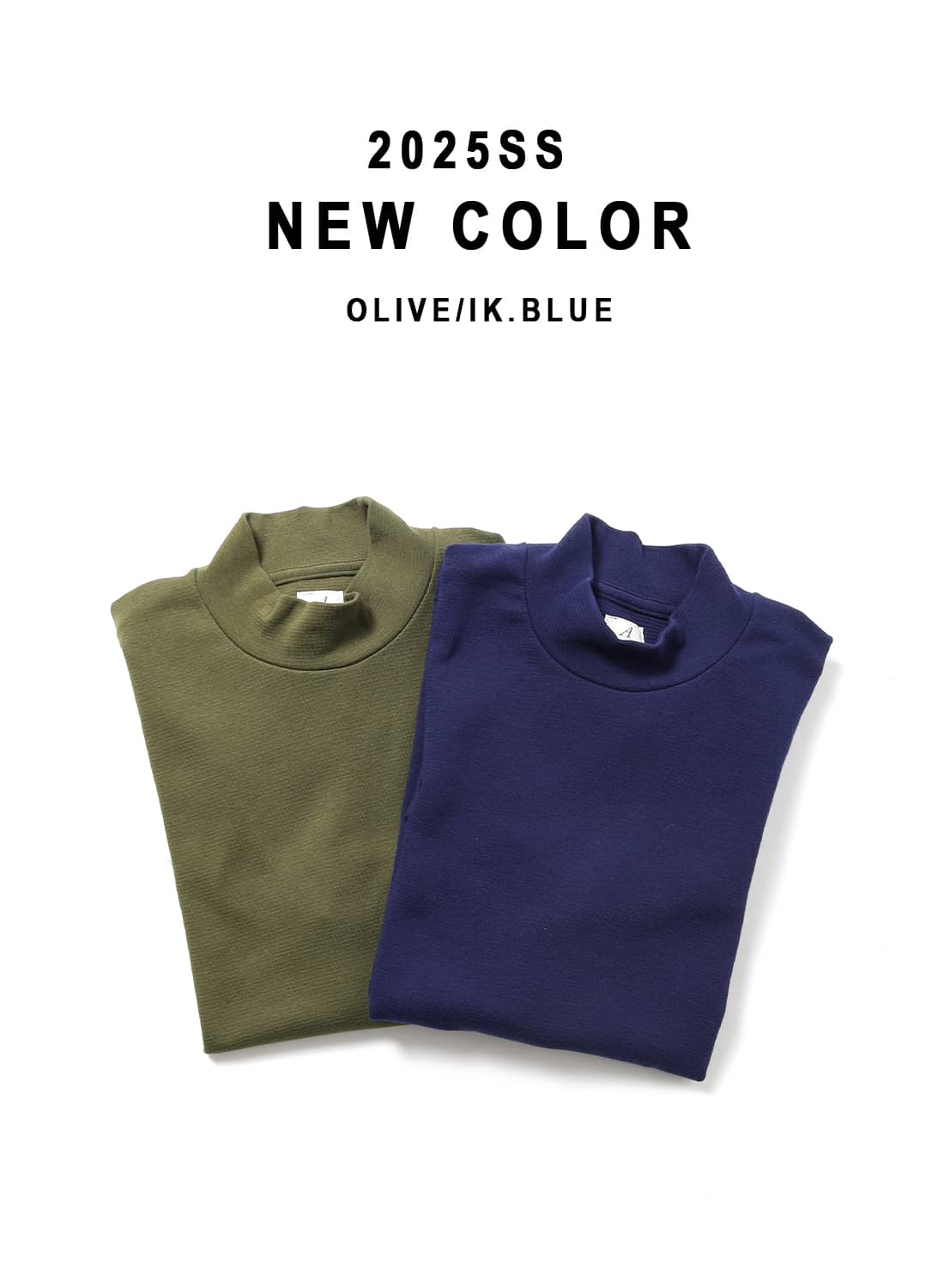 ANATOMICA アナトミカ モックネック Tシャツ TEE MOCK NECK TEE