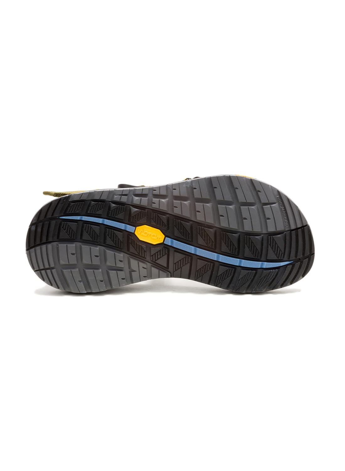 ピコチャタクラ Chaco（チャコ）Chaco Ms RAPID PRO AQUATIC FLORA（チャコ