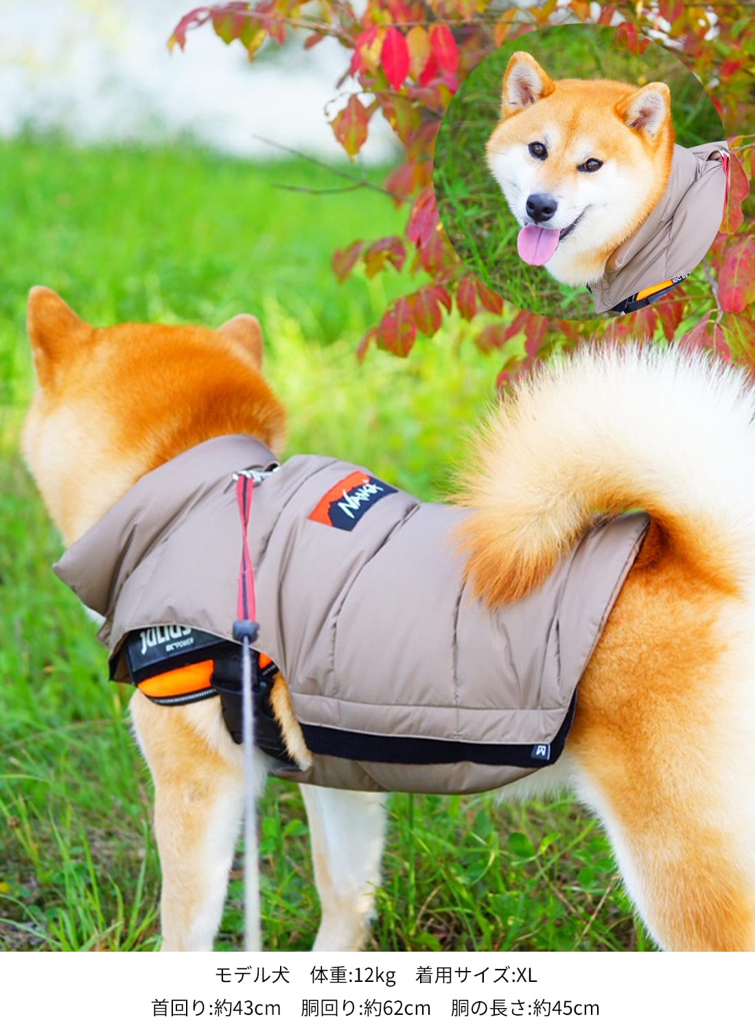 犬服・アクセサリー NANGA dog down jacket 楽天市場】【返品交換送料無料】NANGA(ナンガ)DOG DOWN JACKET