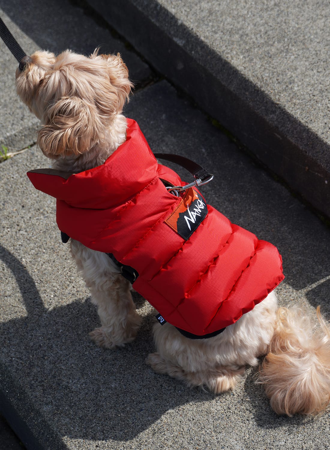 DOG DOWN JACKET - MOONLOID EXCLUSIVE|【MOONLOID別注】ドッグダウン