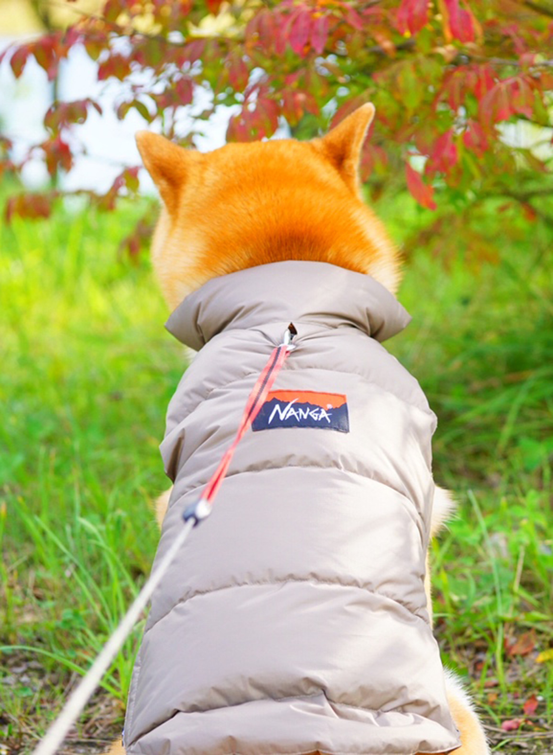 DOG DOWN JACKET - MOONLOID EXCLUSIVE|【MOONLOID別注】ドッグダウン